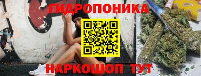 дживик Славгород