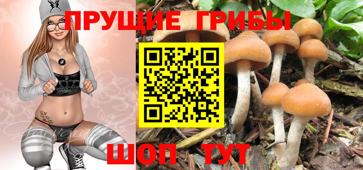 Псилоцибиновые грибы ЛСД Нальчик